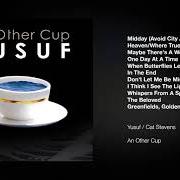 Il testo WHEN BUTTERFLIES LEAVE di YUSUF ISLAM è presente anche nell'album An other cup (2006)