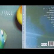 Il testo SENIOR YEAR degli AUDIO KARATE è presente anche nell'album Space camp (2002)