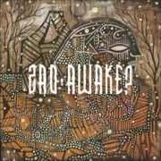 Il testo ENTROPICA degli ZAO è presente anche nell'album Awake? (2009)