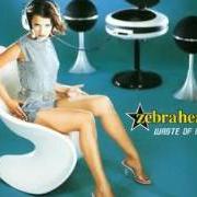 Il testo VEILS AND VISIONS degli ZEBRAHEAD è presente anche nell'album Waste of mfzb [ep] (2004)