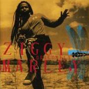 Il testo DON'T YOU KILL LOVE di ZIGGY MARLEY è presente anche nell'album Dragonfly (2003)