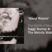 Il testo ALL I NEED di ZIGGY MARLEY è presente anche nell'album Spirit of music (1999)