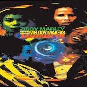 Il testo NAMIBIA di ZIGGY MARLEY è presente anche nell'album Jahmekya (1991)