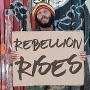 Il testo YOUR PAIN IS MINE di ZIGGY MARLEY è presente anche nell'album Rebellion rises (2018)
