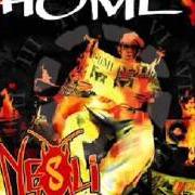 Il testo GLIN GREEN di NESLI è presente anche nell'album Home (2004)