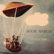 Il testo BRUNDISIUM degli AUGIE MARCH è presente anche nell'album Strange bird (2004)