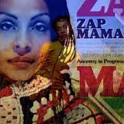 Il testo ZAP BÉBÉS di ZAP MAMA è presente anche nell'album Ancestry in progress (2004)