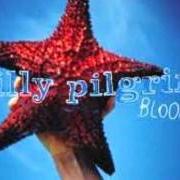 Il testo CLOSED DOWN dei BILLY PILGRIM è presente anche nell'album Bloom