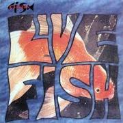Il testo GET MAD AS LOUD AS POSSIBLE! dei CITIZEN FISH è presente anche nell'album Life size (2001)