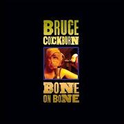 Il testo LOOKING & WAITING di BRUCE COCKBURN è presente anche nell'album Bone on bone (2017)