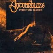 Il testo WIR SIND WAS WIR SIND degli AUTUMNBLAZE è presente anche nell'album Perdition diaries (2009)