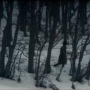 Il testo IL POSTO DELLE FRAGOLE di MARCO PARENTE è presente anche nell'album Neve (ridens) (2005)