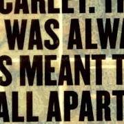 Il testo ANTIBIONICS degli SCARLET è presente anche nell'album This was always meant to fall apart (2006)