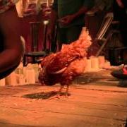 Lights out in wonderland Lights out in wonderland