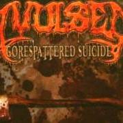 Il testo BURNT BUT NOT CARBONIZED degli AVULSED è presente anche nell'album Gorespattered suicide (2005)