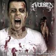 Il testo MORBID CHEF degli AVULSED è presente anche nell'album Yearning for the grotesque (2003)