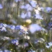 Il testo PERLES DE PLUIE di AXELLE RED è presente anche nell'album Jardin secret (2006)