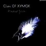 Il testo SOMETHING I CAN NEVER HAVE dei CLAN OF XYMOX è presente anche nell'album Kindred spirits (2012)