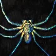 Il testo SPIDER ON THE WALL dei CLAN OF XYMOX è presente anche nell'album Spider on the wall (2020)