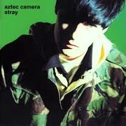 Il testo THE CRYING SCENE degli AZTEC CAMERA è presente anche nell'album Stray (1990)