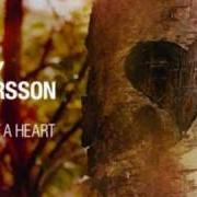 Il testo BIRTHDAY WALTZ FOR MONA di BENNY ANDERSSON BAND è presente anche nell'album Story of a heart (2009)