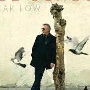 Il testo SHE WAS TOO GOOD TO ME di BOZ SCAGGS è presente anche nell'album Speak low (2008)