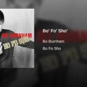 Il testo HIGH SCHOOL PARTY (GIRL) di BO BURNHAM è presente anche nell'album Bo fo sho (2008)