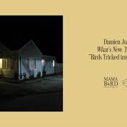 Il testo BIRDS TRICKED INTO THE TREES di DAMIEN JURADO è presente anche nell'album What's new, tomboy? (2020)