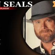 The best of dan seals The best of dan seals