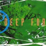 Il testo LOMO dei DEEP FOREST è presente anche nell'album Deep africa (2013) Il testo LOMO dei DEEP FOREST è presente anche nell'album Deep africa (2013)