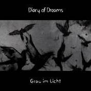 Il testo HOMESICK dei DIARY OF DREAMS è presente anche nell'album Grau im licht (2015)