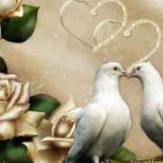 Hier ist das leben Hier ist das leben