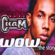 Il testo GALLANG YAH GAL/WE NO SORRY di BABY CHAM è presente anche nell'album Wow ...The story (2000)