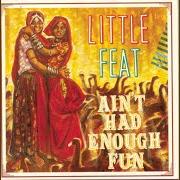 Il testo BIG BANG THEORY dei LITTLE FEAT è presente anche nell'album Ain't had enough fun (1995)