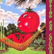 Il testo FAT MAN IN THE BATHTUB dei LITTLE FEAT è presente anche nell'album Dixie chicken (1973)