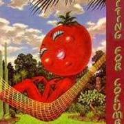 Il testo NEW DELHI FREIGHT TRAIN dei LITTLE FEAT è presente anche nell'album Time loves a hero (1977)