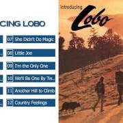 Il testo A LITTLE DIFFERENT di LOBO è presente anche nell'album Introducing lobo