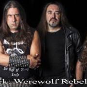 Il testo CULT OF STEEL di LONEWOLF è presente anche nell'album Cult of steel (2014)