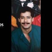 Il testo COMO UN PAJARILLO dei LOS ACOSTA è presente anche nell'album Los caballeros de la noche (2000)