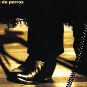Il testo VIDA DE PERROS dei LOS BUNKERS è presente anche nell'album Vida de perros (2005)
