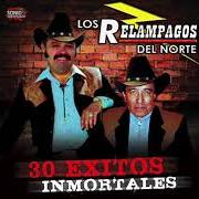 Il testo LOS DOS AMIGOS dei LOS CADETES DE LINARES è presente anche nell'album Las más canonas (2006)
