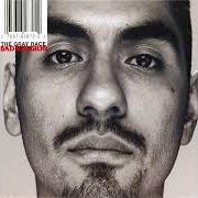 Il testo PARALLEL di BAD RELIGION è presente anche nell'album The gray race (1996)