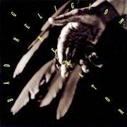 Il testo TOMORROW di BAD RELIGION è presente anche nell'album Generator (1992)