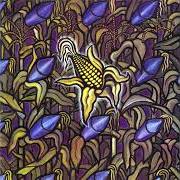Il testo ENTROPY di BAD RELIGION è presente anche nell'album Against the grain (1990)