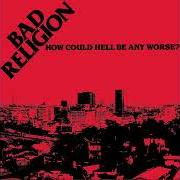 Il testo IN THE NIGHT di BAD RELIGION è presente anche nell'album How could hell be any worse? (1982)