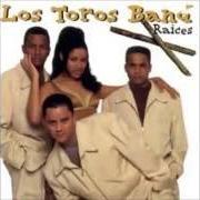 Il testo OK di LOS TOROS BAND è presente anche nell'album Raices ii (2012)