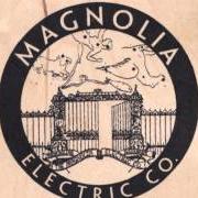 Il testo HAMMER DOWN dei MAGNOLIA ELECTRIC CO. è presente anche nell'album What comes after the blues (2005)