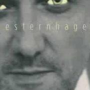 Il testo SCHWEIGE STILL di MARIUS MÜLLER-WESTERNHAGEN è presente anche nell'album Nahaufnahme (2005)