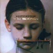 Il testo ES IST AN DER ZEIT di MARIUS MÜLLER-WESTERNHAGEN è presente anche nell'album In den wahnsinn (2002)