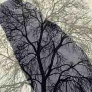Il testo SLEEPING WITH A STRANGER di MATTHEW PERRYMAN JONES è presente anche nell'album Land of the living (2012)